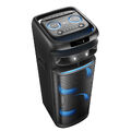 Портативная акустическая система VESTA PS-QFL212M2
