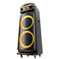 Портативная акустическая система VESTA PS-QFL212M2
