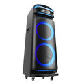 Портативная акустическая система VESTA PS-QFL212M2