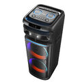 Портативная акустическая система VESTA PS-QFL212M2