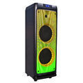Портативная акустическая система VESTA PS-QFL208M2