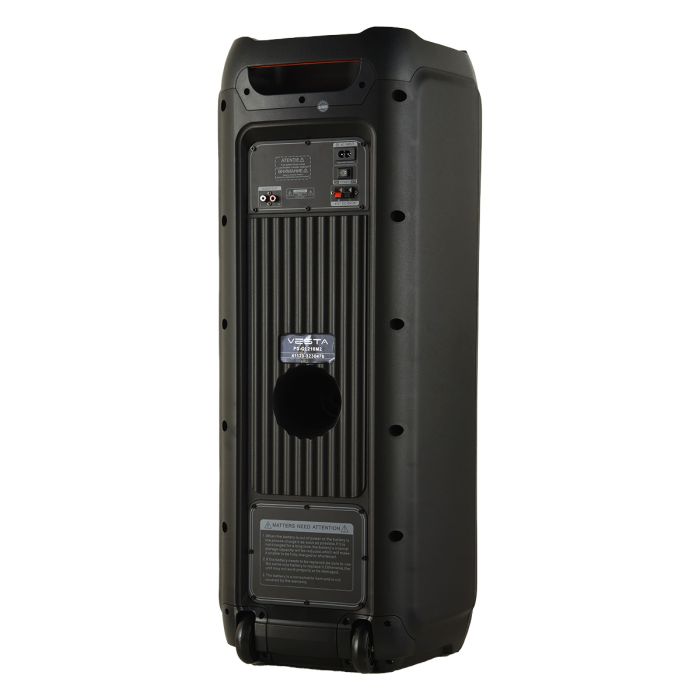 Портативная акустическая система VESTA PS-QL210M2