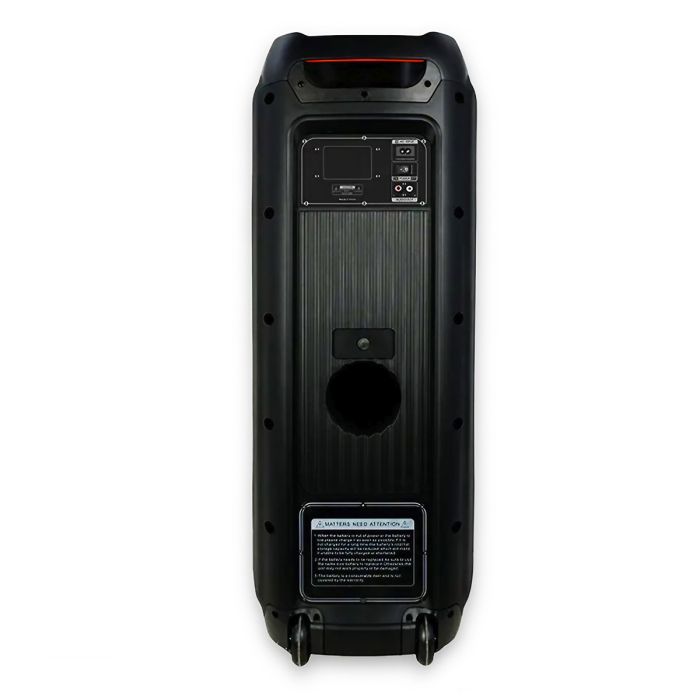 Портативная акустическая система VESTA PS-QL210M2